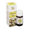 Bio Vitals Okaliptüs Yağı 20 ml